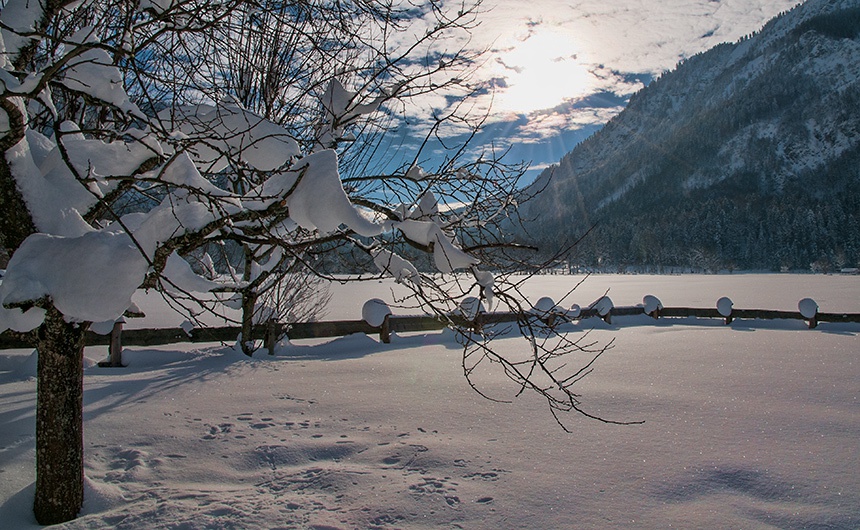 Copyright Gerlind Schiele Photography Tegernsee +49 (0) 170 - 908 85 85