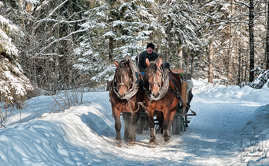 Tegernseer Impressionen - Copyright Gerlind Schiele Photography +49 (0) 170 - 908 85 85