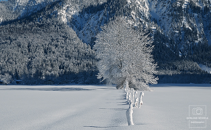 Tegernseer Impressionen - Copyright Gerlind Schiele Photography +49 (0) 170 - 908 85 85